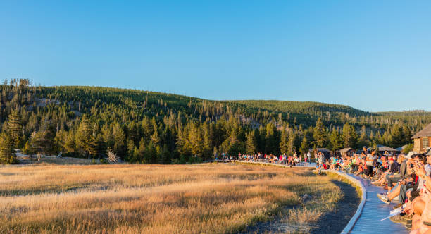 люди ждут извержения старого верного гейзера - wyoming landscape american culture plain стоковые фото и изображения