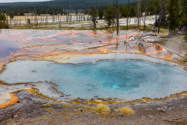 fontes termais coloridas por bactérias - upper geyser basin fumarole scenics standing water - fotografias e filmes do acervo