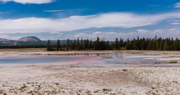 fontes termais coloridas por bactérias - upper geyser basin fumarole scenics standing water - fotografias e filmes do acervo