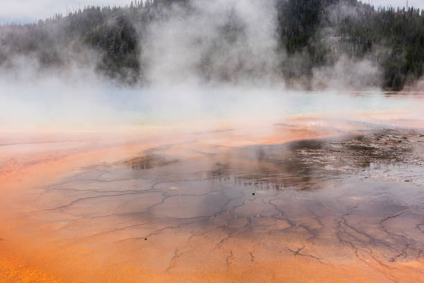 grande primavera prismática - upper geyser basin fumarole scenics standing water - fotografias e filmes do acervo