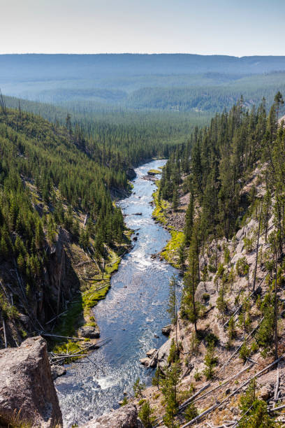 gibbon river - upper geyser basin fumarole scenics standing water - fotografias e filmes do acervo