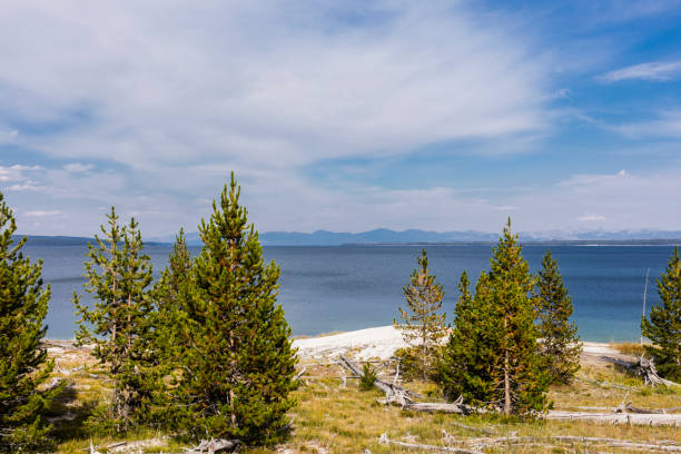 istock West Thumb Geyser Basin and Yellowstone Lake 1314802005
