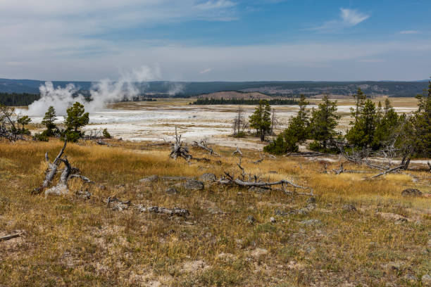 trilha do pote de tinta da fonte, yellowstone - upper geyser basin fumarole scenics standing water - fotografias e filmes do acervo