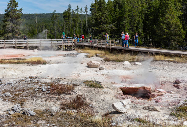 turistas assistindo um fumarole emitindo vapor - upper geyser basin fumarole scenics standing water - fotografias e filmes do acervo