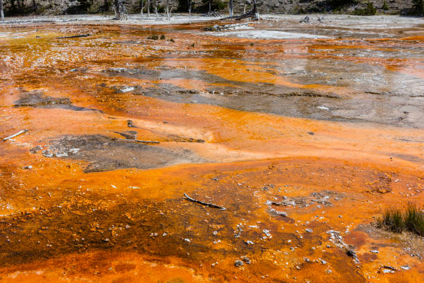 tapete de bactérias, yellowstone - upper geyser basin fumarole scenics standing water - fotografias e filmes do acervo