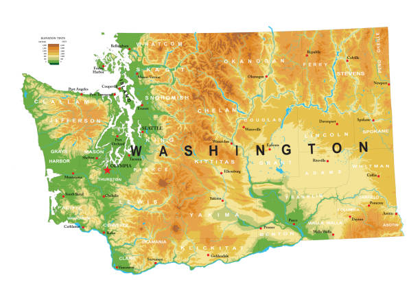 вашингтон физическая карта - washington state state map outline stock illustrations