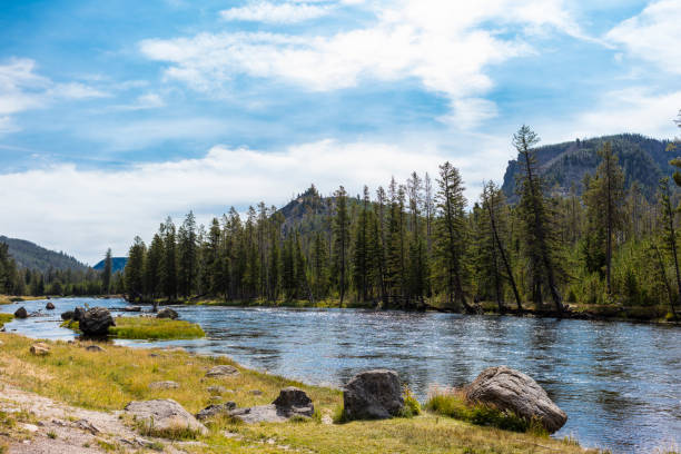 мэдисон-ривер - wyoming landscape american culture plain стоковые фото и изображения