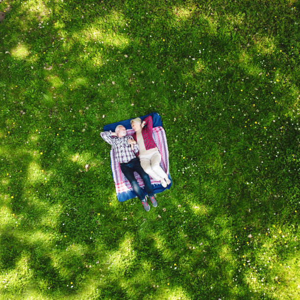 picnic divertente - couple affectionate relaxation high angle view foto e immagini stock