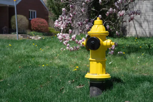 Fire Hydrant on a sunny day