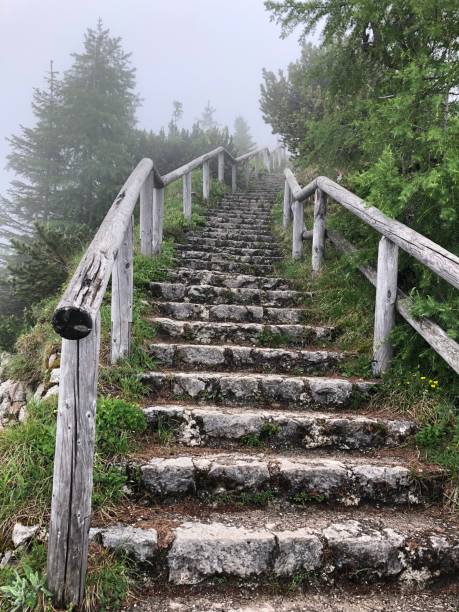 istock Stairway to heaven 1314807413