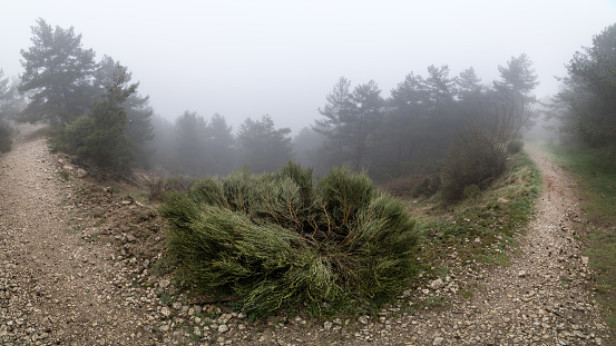 Panoramic of mountain landscape with path that is lost in the thick fog. Navacerrada.