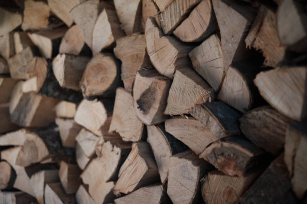 istock Closeup of stacked large logs 1314811964
