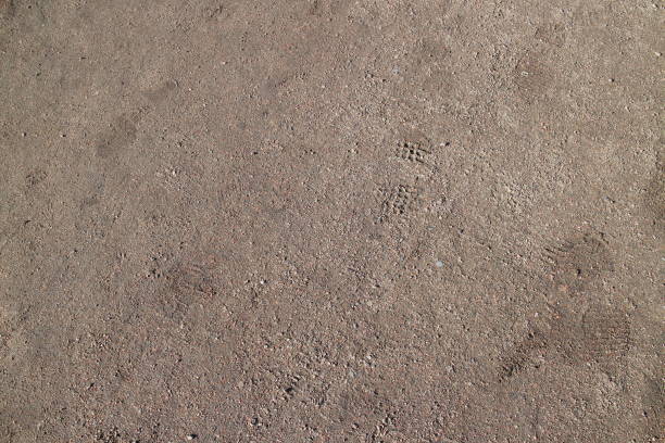 istock footprints on wet sand in the morning 1314812296