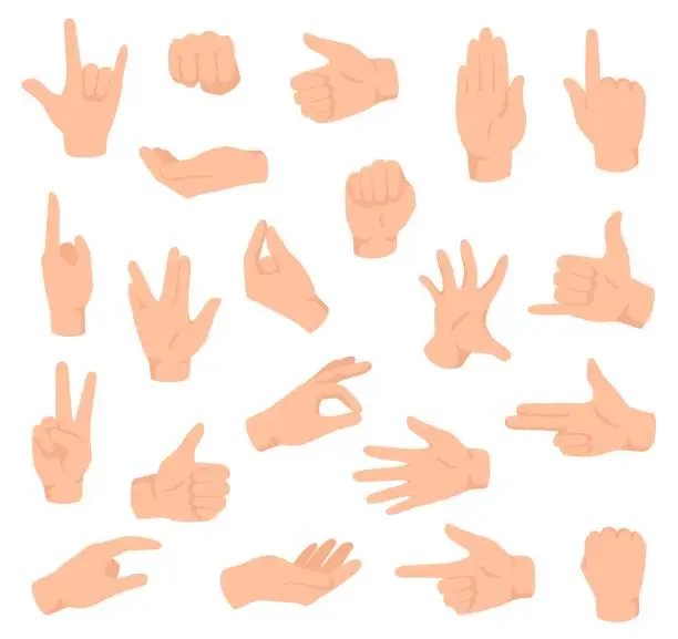 Vector illustration of Flat hands. Man hand with various gestures and fist. Open palm victory and thumbs up, pointing finger sign. Holding and giving arm vector set