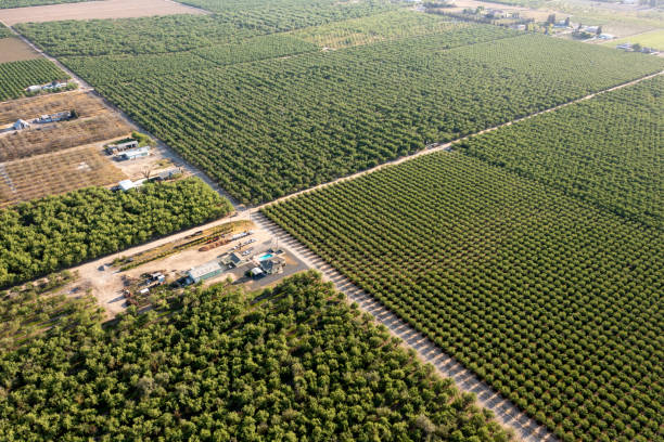 カリフォルニア州の農地の空中写真 - san joaquin valley ストックフォトと画像