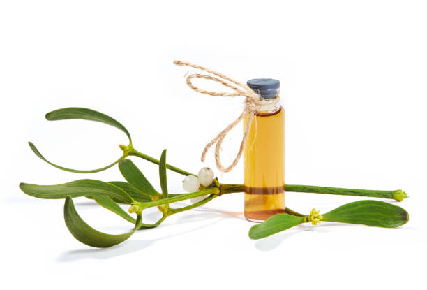 a bottle of herbal tincture with fresh mistletoe twigs - european mistletoe imagens e fotografias de stock