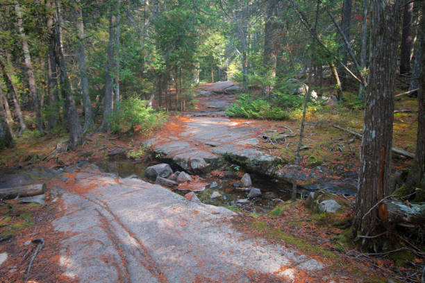 Hiking Trail - Acadia National Park - Maine