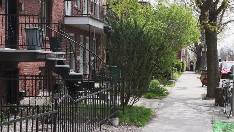 Montreal Rosemont area sidewalk lined with leafing trees and rowhouses