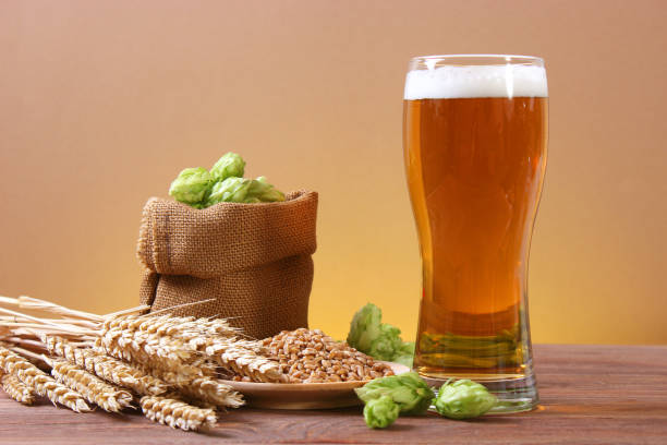 テーブルの上のビール、小麦、ホップ。 - mug beer barley wheat ストックフォトと画像