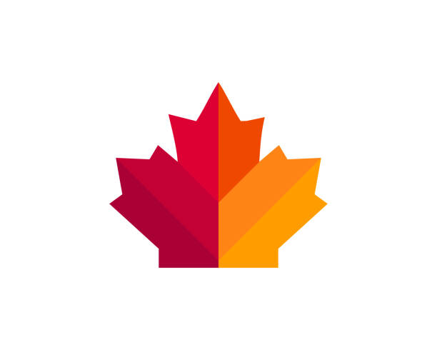 ilustraciones, imágenes clip art, dibujos animados e iconos de stock de hoja de arce. símbolo vectorial de canadá hoja de arce - canadian flag illustrations