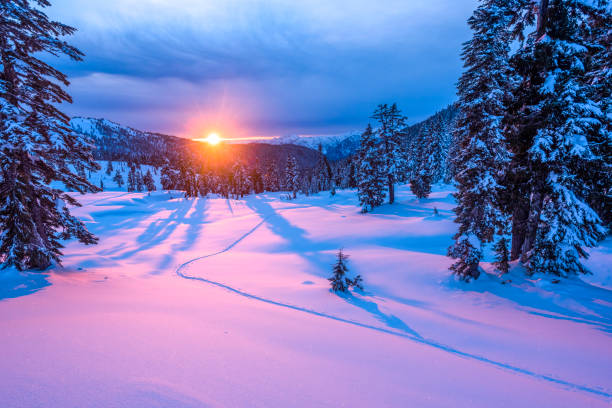 istock View across snowy field and trees to sunrising over distant horizon 1314826079