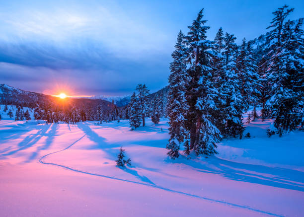 istock View across snowy field and trees to sunrising over distant horizon 1314826169