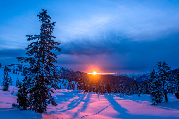 view across snowy field and trees to sunrising over distant horizon - growth tree spirituality tranquil scene imagens e fotografias de stock