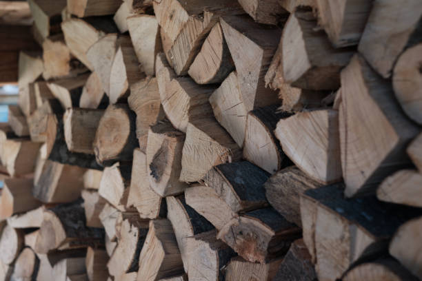 istock Closeup of stacked large logs 1314831820
