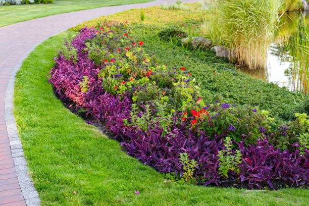 istock flowers and bushes in a landscape park 1314837437