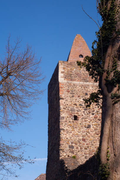 istock Hiking trail on an old city wall 1314839049