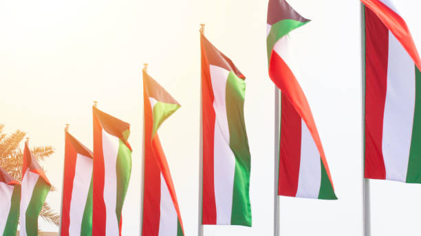 istock Multiple Kuwait national flags flying during the day at a event in Doha, Qatar 1314845043