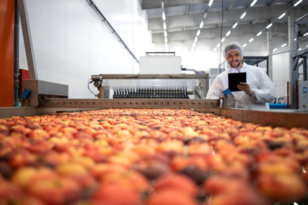 istock Technologist in food processing factory controlling apple organic fruit production. 1314851862