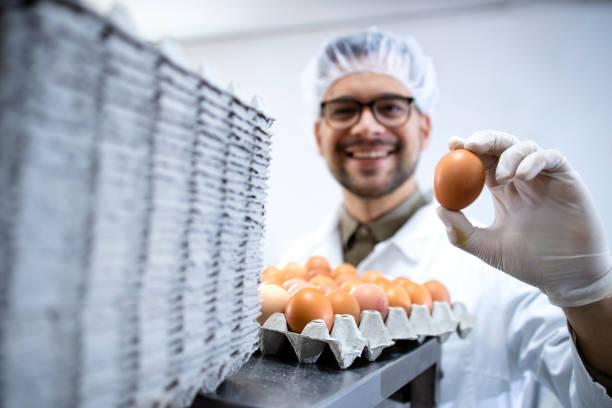 istock Food factory technologist standing by industrial eggs packaging machine and holding an egg. 1314853614