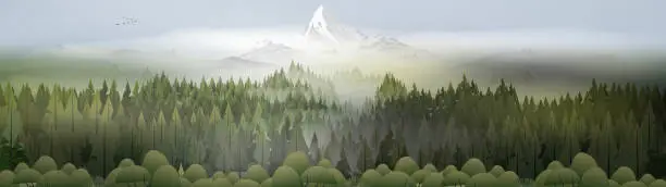 Vector illustration of Pine forest mountains in mist panorama