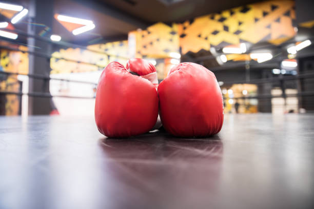 istock Pair of red leather boxing gloves 1314854245