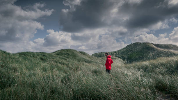 istock Man with red jacket in sand dunes with green grass at coast in Denmark 1314858290