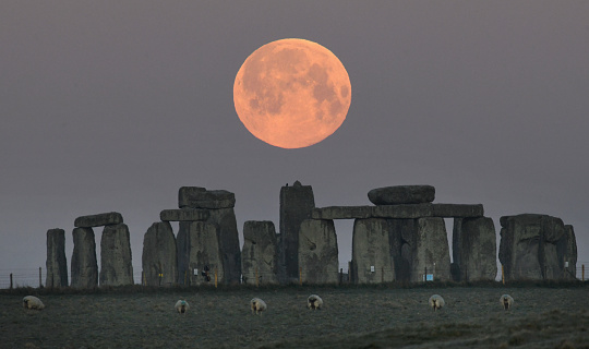 A Pink Super Full moon rises  over the ancient stone circle of Stonehenge in Wiltshire, UK as sheep graze in adjacent fields