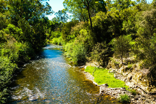 istock Porepunkah, Victoria, Australia 1314865368