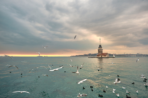 04.03.2021 istanbul Turkey. maiden tower during sunset and many seagulls flying in front of the tower with magnificent nature of turquoise water