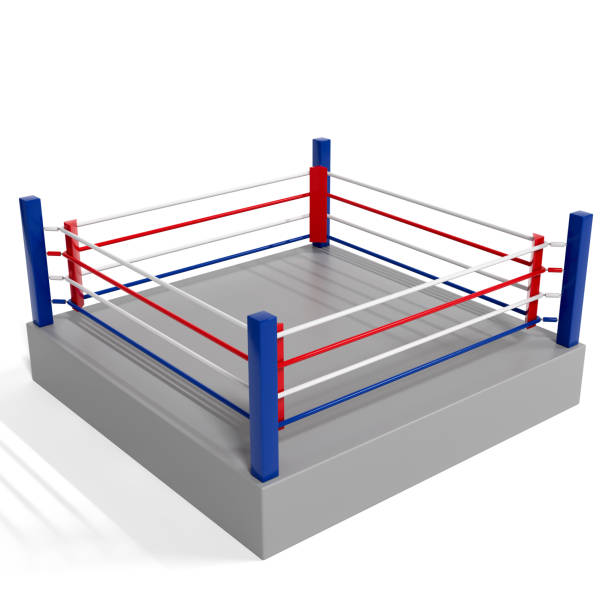istock Low-poly model of a boxing ring. Sports mock-up. Object on a white background. 3d illustration. 1314870171