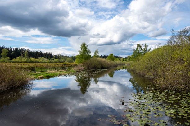 view of a large lake beside a fenced in blueberry farm in the pacific northwest on a cloudy, sunny day Gorgeous view of a large lake beside a fenced in blueberry farm in the pacific northwest on a cloudy, sunny day pool gate stock pictures, royalty-free photos & images