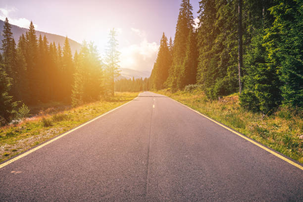 istock Empty asphalt road with cloudy sky and sunlight in mountains and forest. Transalpina landscape, Romania. 1314875656