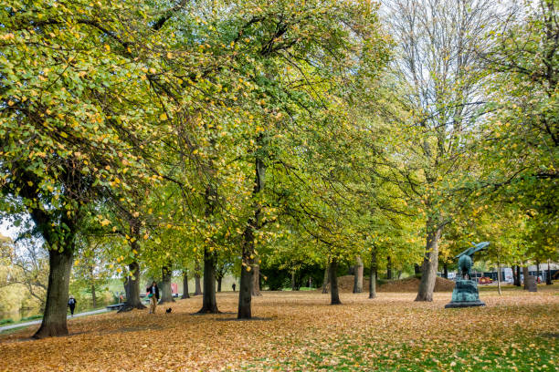 처칠 공원의 나무와 단풍 - yellow landscapes nature park 뉴스 사진 이미지
