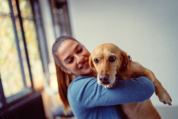 istock Young woman holding small brown dog 1314877176