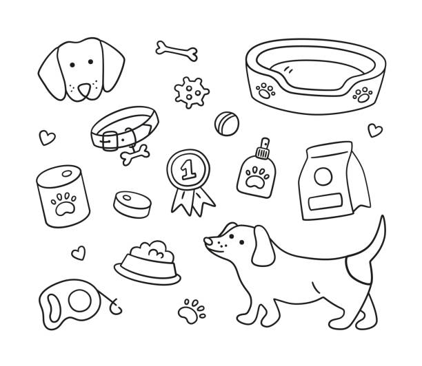 Set of heads of different breeds dogs and canine accessories. Collar, leash, muzzle, carrier, food, clothing. Set of dachshund, dog elements and canine accessories. Collar, leash, food, bad, ball, paw print. Hand drawn isolated vector illustration in doodle style on white background dog clipart stock illustrations