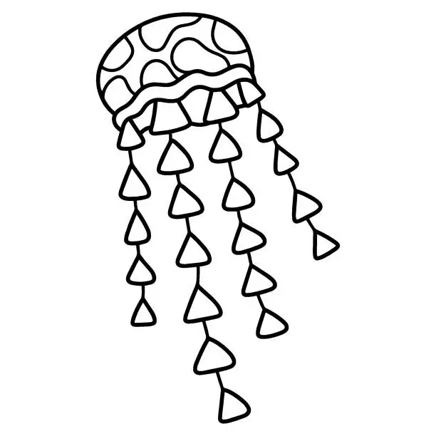 Vector illustration of Jellyfish hand-drawn doodle stock vector illustration
