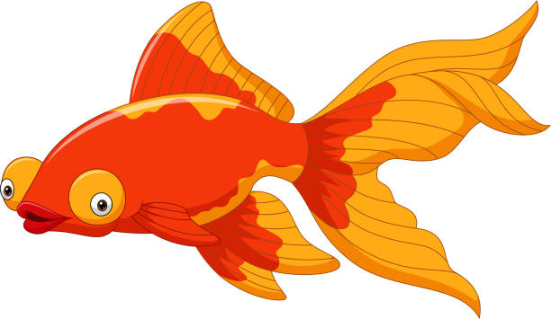 cartoon niedlichen goldfisch auf weißem hintergrund - 11084 stock-grafiken, -clipart, -cartoons und -symbole