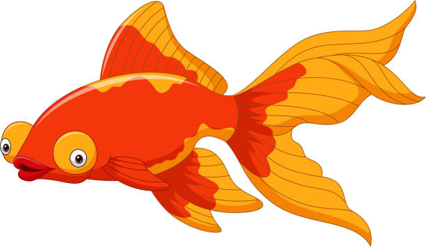 illustrations, cliparts, dessins animés et icônes de poisson rouge mignon de dessin animé sur un fond blanc - 11084
