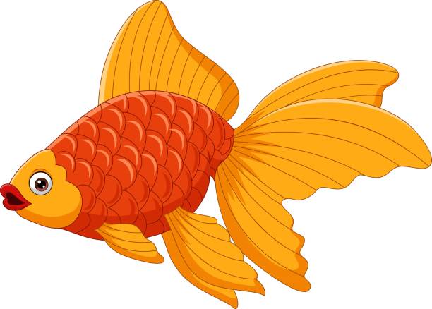 illustrazioni stock, clip art, cartoni animati e icone di tendenza di cartone animato carino pesce rosso su sfondo bianco - 11088