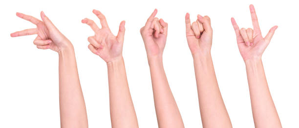 istock Set of people showing different gestures on white 1314885665